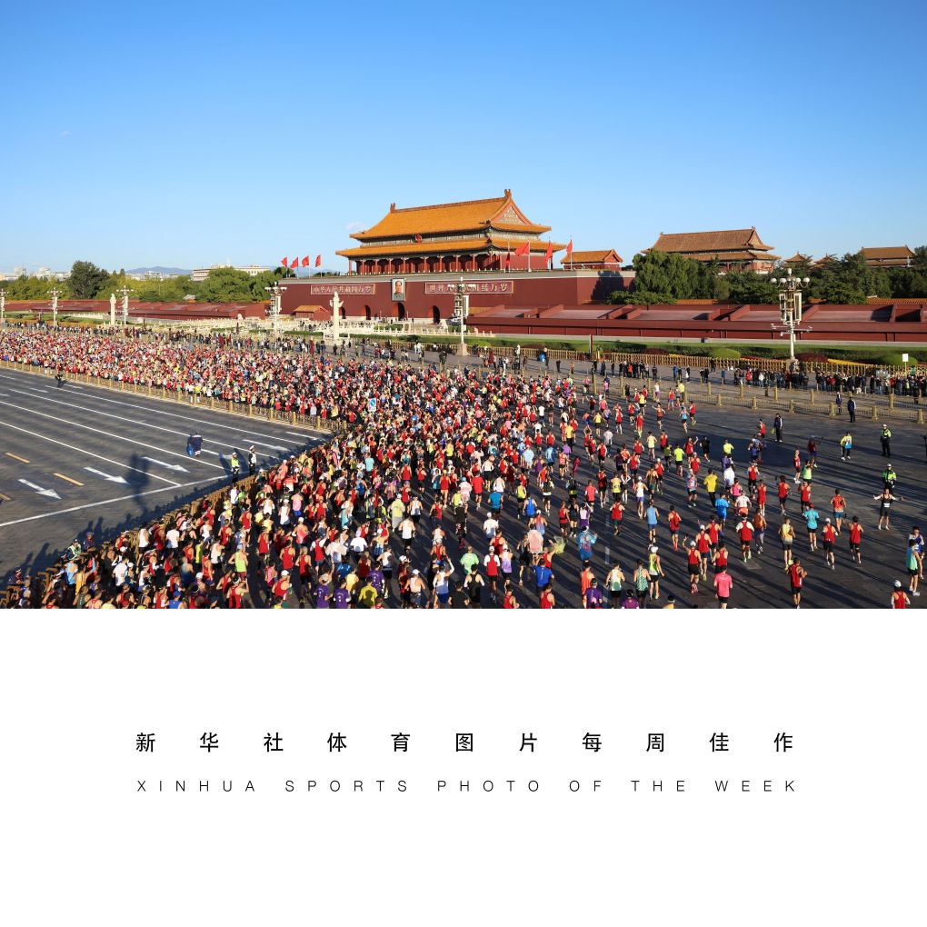 专业bbin宝盈集团服务